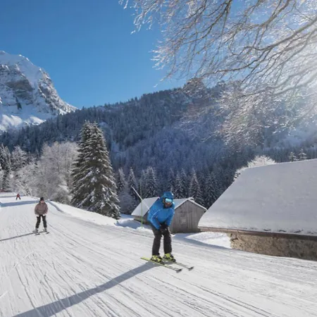 Апартаменты Au Pied Des Pistes *